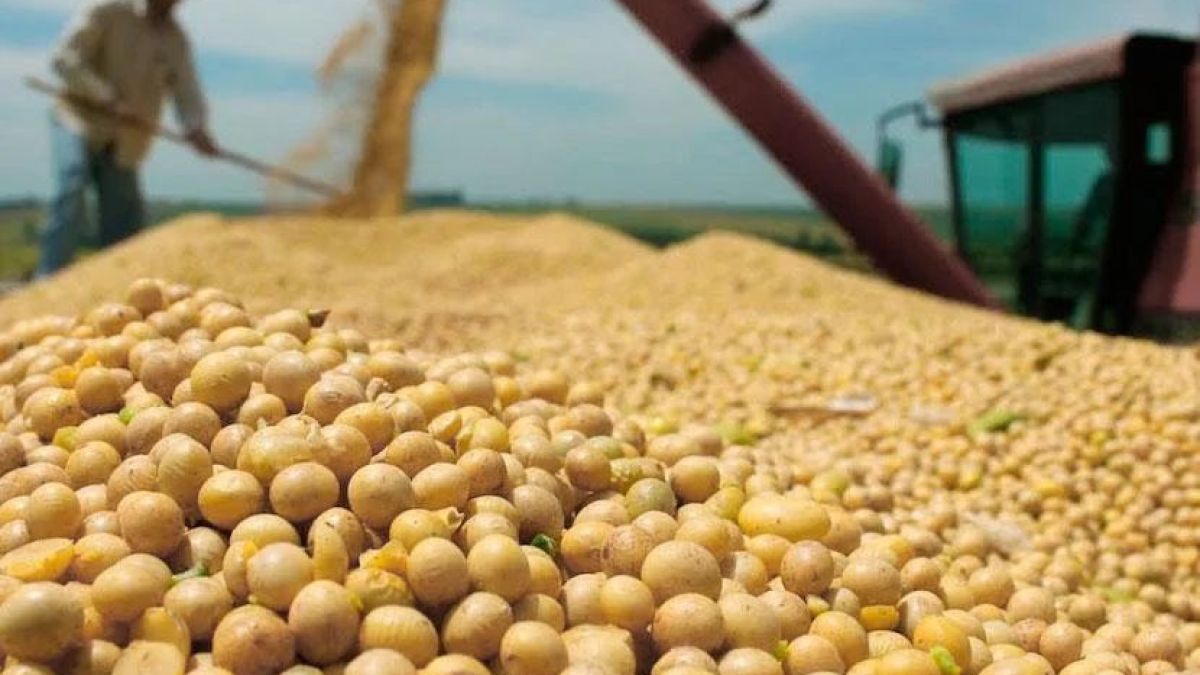 altText(La AFIP confiscó más de 224 toneladas de granos con un valor de $15,9 millones)}