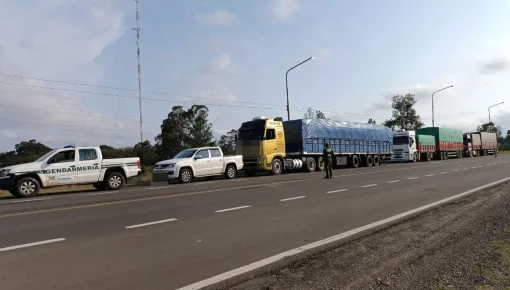 Detuvieron en Corrientes tres camiones con 90.000 kilos de soja ilegal