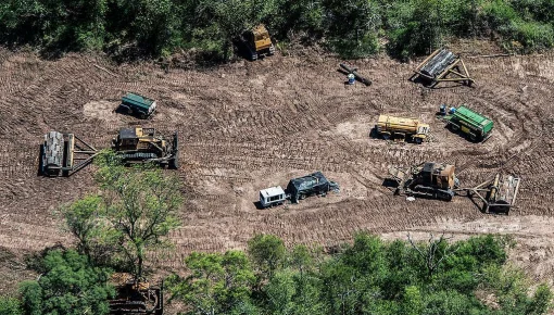 En un año, los desmontes aumentaron en el norte del país un 21% 