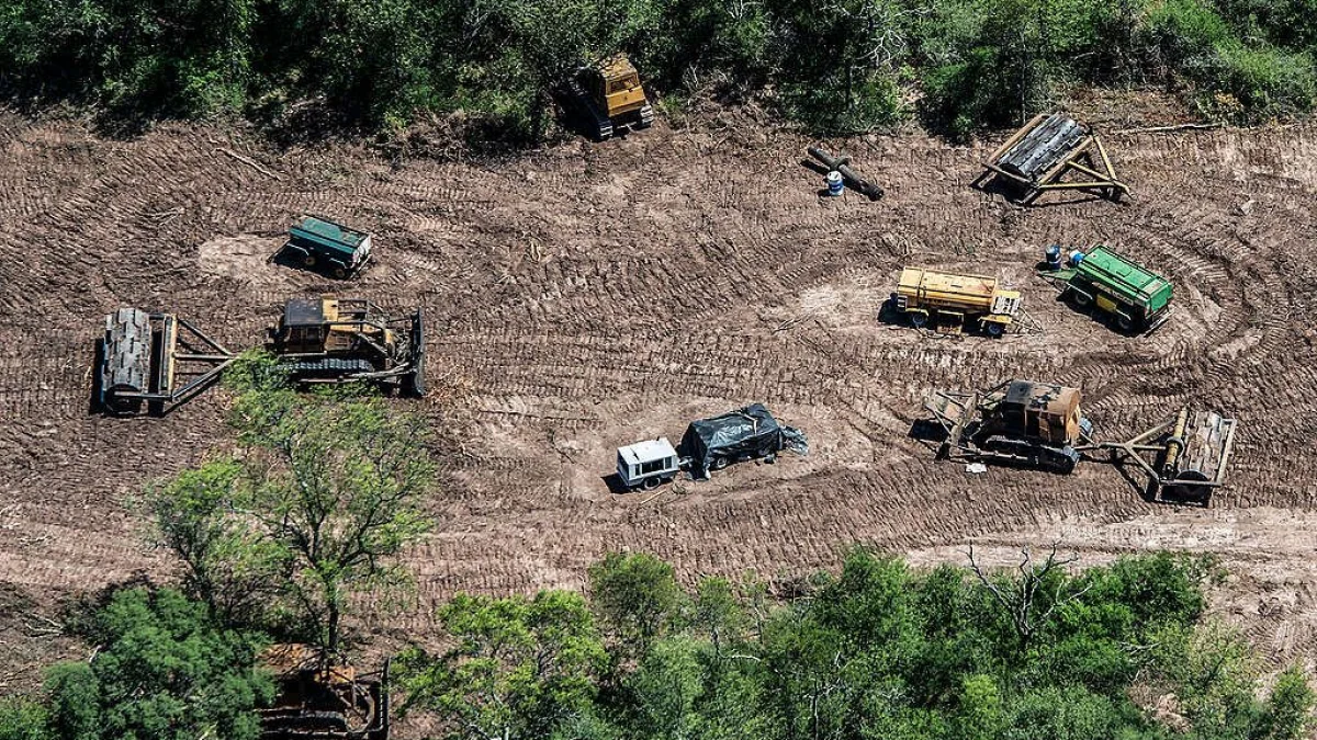 Foto: Greenpeace