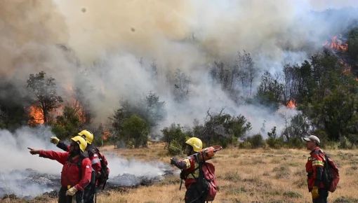 Parque Nacional Nahuel Huapi: denuncian fogones en zonas no autorizadas