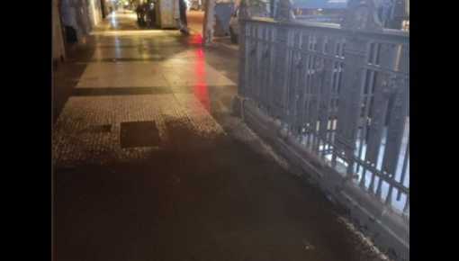 Una invasión de insectos desconocidos paralizó por tres horas la estación Piedras 