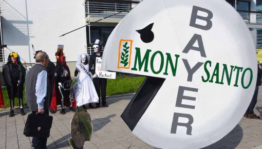 Bayer-Monsanto fue denunciada por violaciones a los derechos humanos