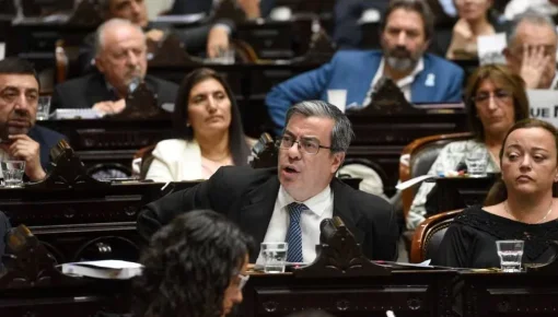 Advierten que la nueva ley Bases 