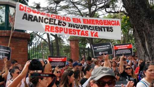 Discapacidad: el proyecto oficial implica 