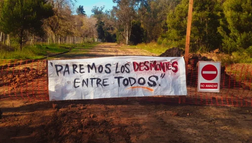 En Hudson caminaron contra el avance de barrios privados sobre bosques urbanos