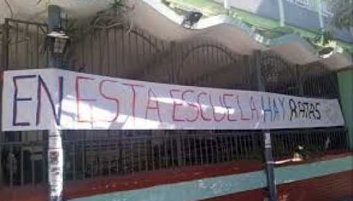 Hay ratas en una escuela y un jardín de Saavedra: suspendieron el uso del comedor