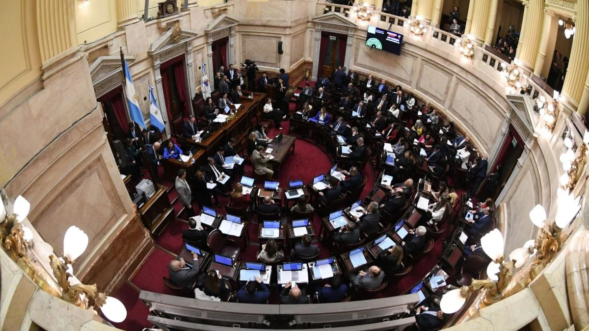 Ley Bases: qué dicen los senadores