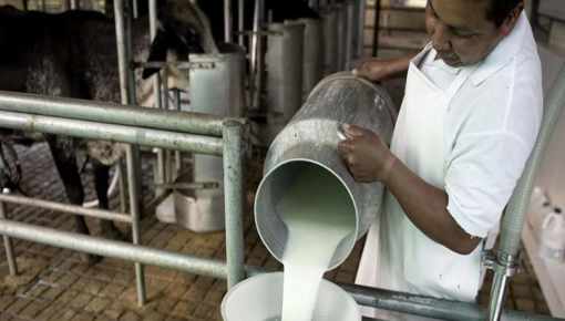 Crisis láctea sin freno: caen ventas, tambos al límite y empresas en riesgo