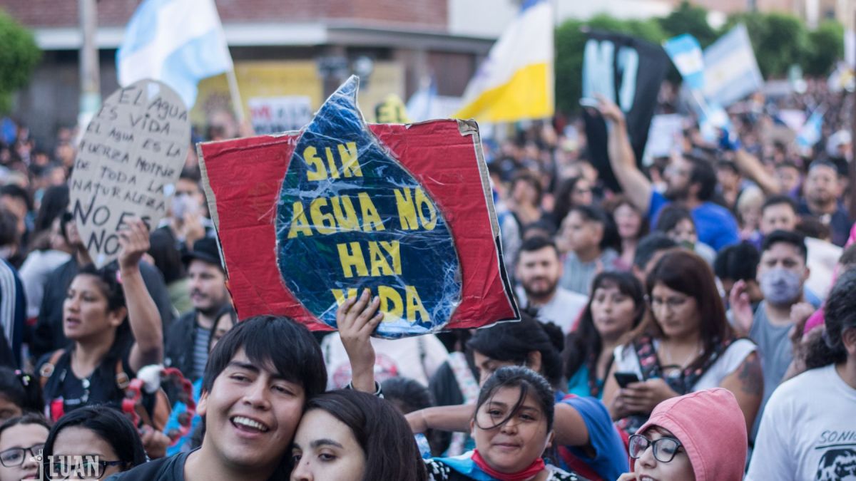 Organizaciones ambientales: 