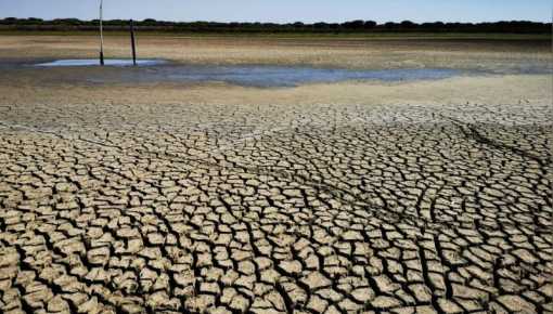 Crisis ambiental en Córdoba: denuncian que una multinacional saudí secó un acuífero