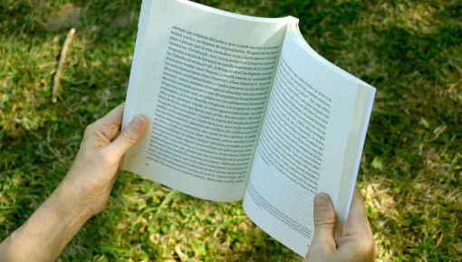 Placer lector: los libros que se vienen en 2025 