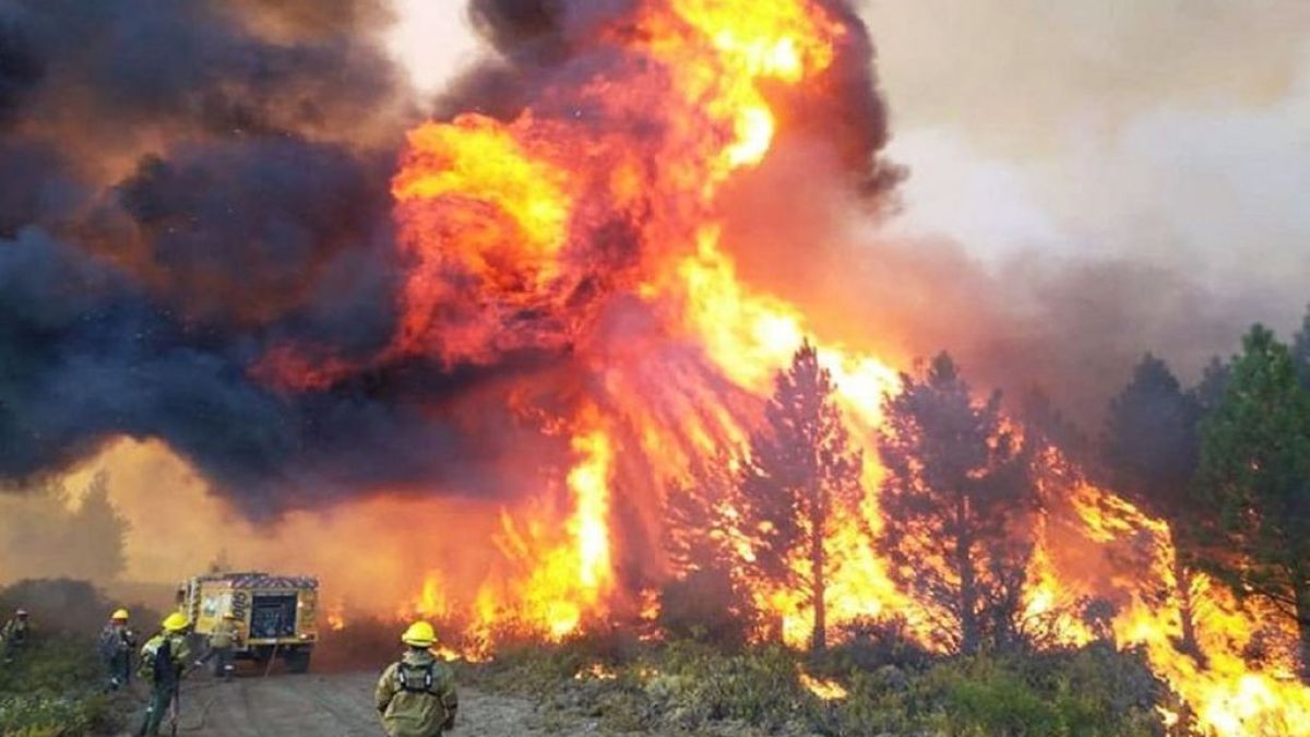 El Gobierno tardó dos meses en comprar mangueras para combatir los incendios