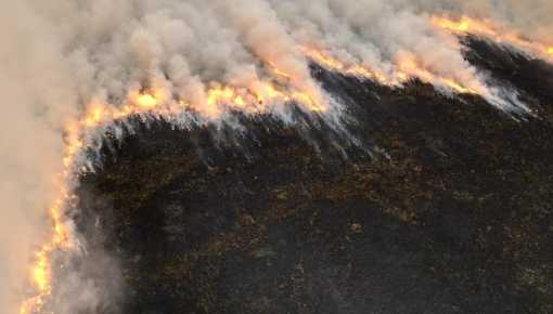 El detrás de los incendios de la reserva Pereyra Iraola