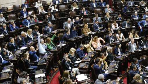 Radicales exigen investigar los aprietes de diputados libertarios en la última sesión