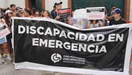 El Senado convirtió en ley la Emergencia en Discapacidad