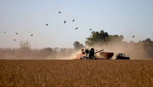 Fuerte malestar en el sector agrícola tras el final de las retenciones cero