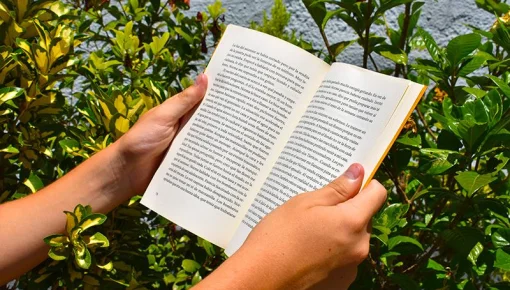Novedades editoriales 2026: los libros que llegan