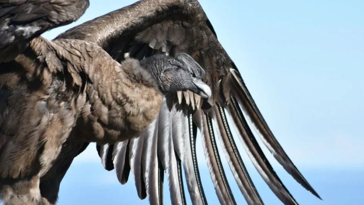 Foto: Gobierno de San Luis