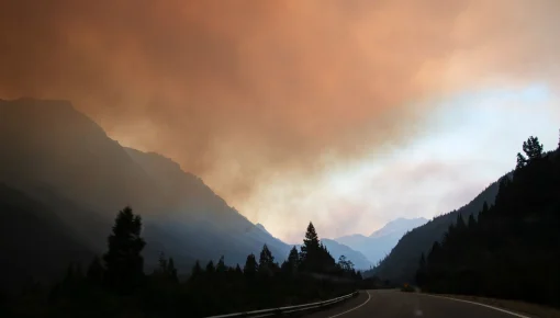 La inacción estatal empeora los incendios en la Patagonia