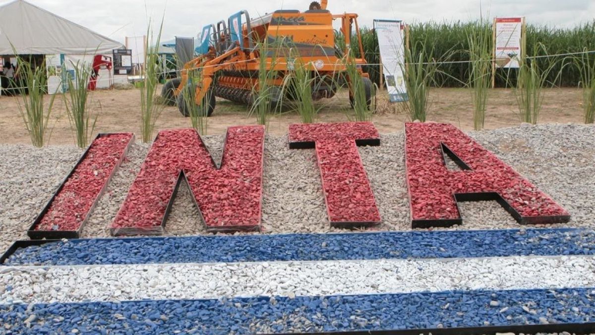 INTA y Conicet, en la mira de la motosierra de Milei para este año