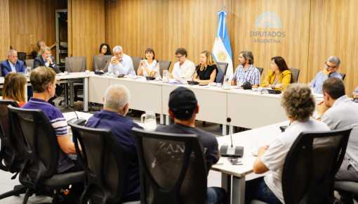 En Diputados, especialistas alertaron sobre los riesgos de la reforma laboral