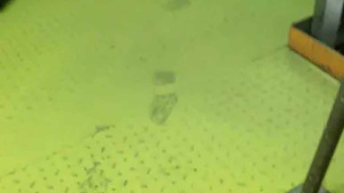 Lo que faltaba: denuncian al menos dos accidentes con exposición a material radiactivo