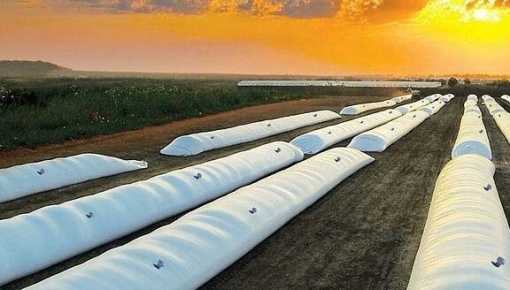 Eduardo Buzzi dijo que 