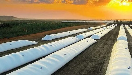 Eduardo Buzzi dijo que 