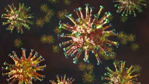 Hay 3 nuevos contagiados de hantavirus en Argentina y son 105 los casos confirmados