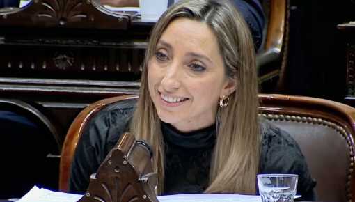 Picante Julia Strada en el Congreso: 