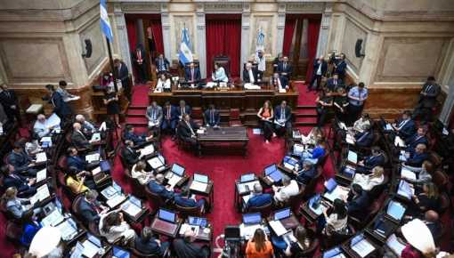Senado: polémica por el pliego de la cuñada de Alconada Mon