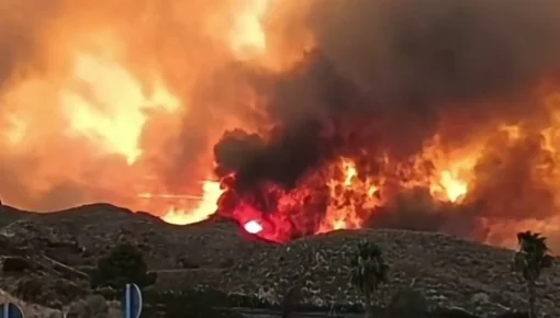 Tragedia en España: un feroz incendio forestal dejó al menos 12 muertos y decenas de desaparecidos