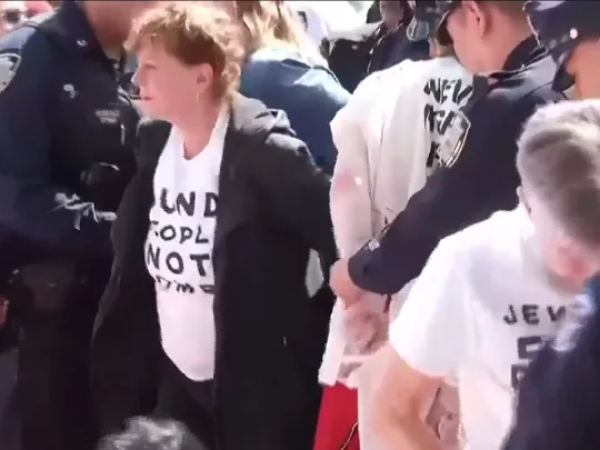 Susan Sarandon fue detenida en Nueva York durante una protesta contra Netanyahu
